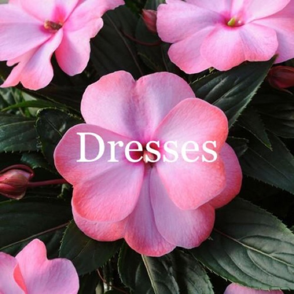 Dresses
